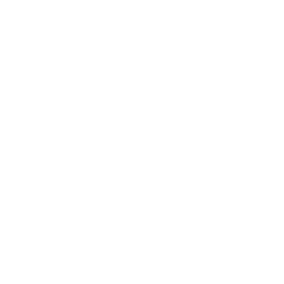 /logo-mesh/white/logo-mesh-white-256x256.png